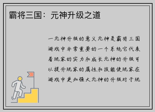 霸将三国：元神升级之道